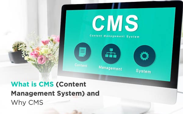 Content Media