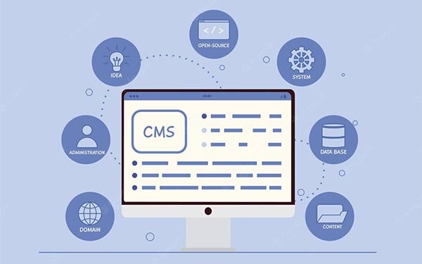 Content Media Content Media
